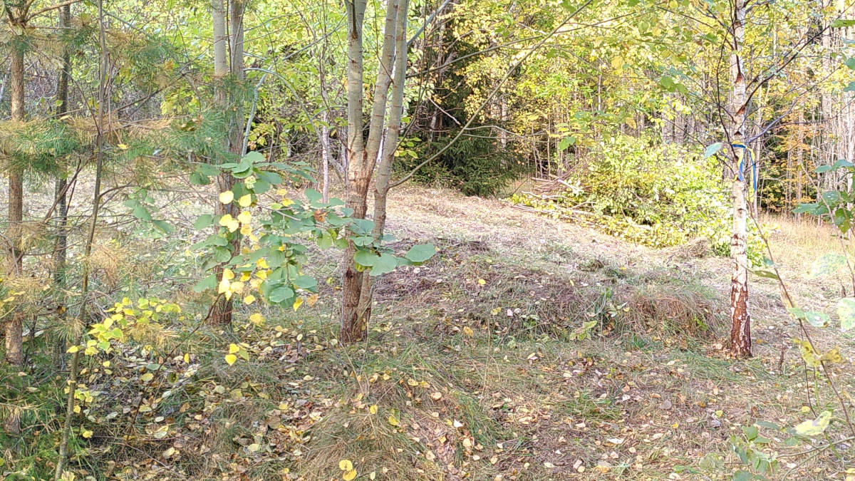 IMG_20241007_153751_1200