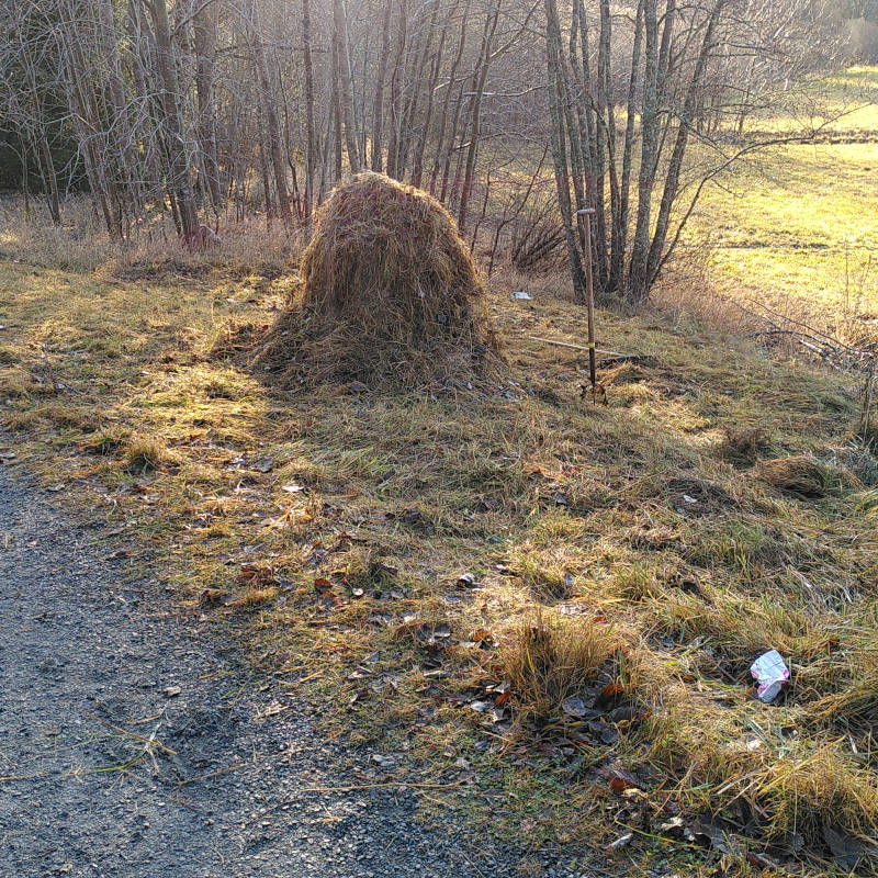 Slåtter och röjning vid Segertorp.