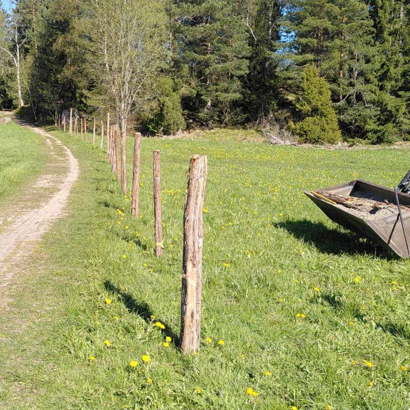 Stängsling vid Dalbyvägen