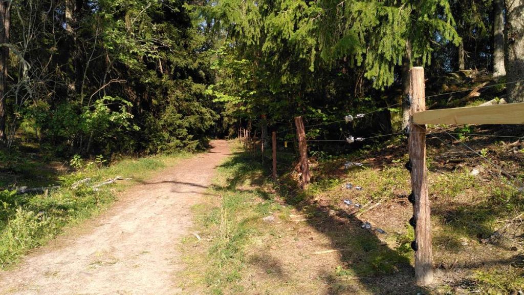 En solbelyst skogsväg. Höger om skogsvägen syns ett stängsel med eltrådar.